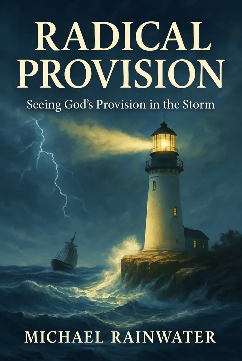 Radical Provision — Seeing God's Provision in the Storm by Michael J. Rainwater